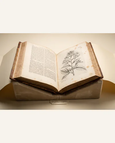 An antique calf-bound folio open on a padded cradle showing an engraved plate.